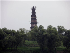 ��ʥ����